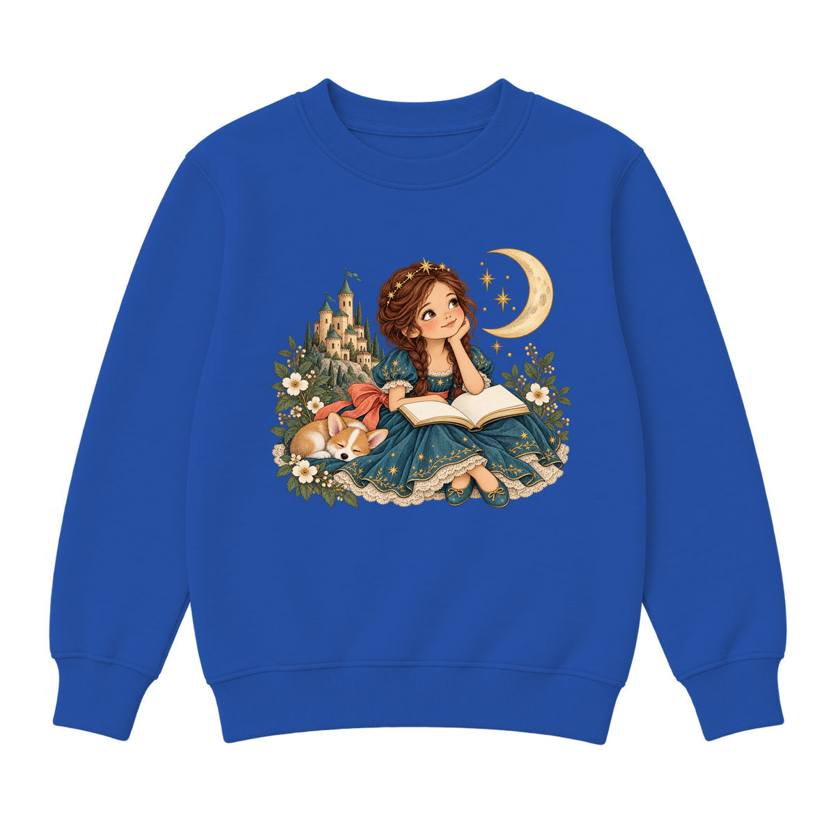 Storybook — Teal Princess Reading with Sleeping Corgi — Boys' Sweatshirt / Royal