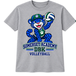 Somerset Academy DBK Volleyball Tee Gray