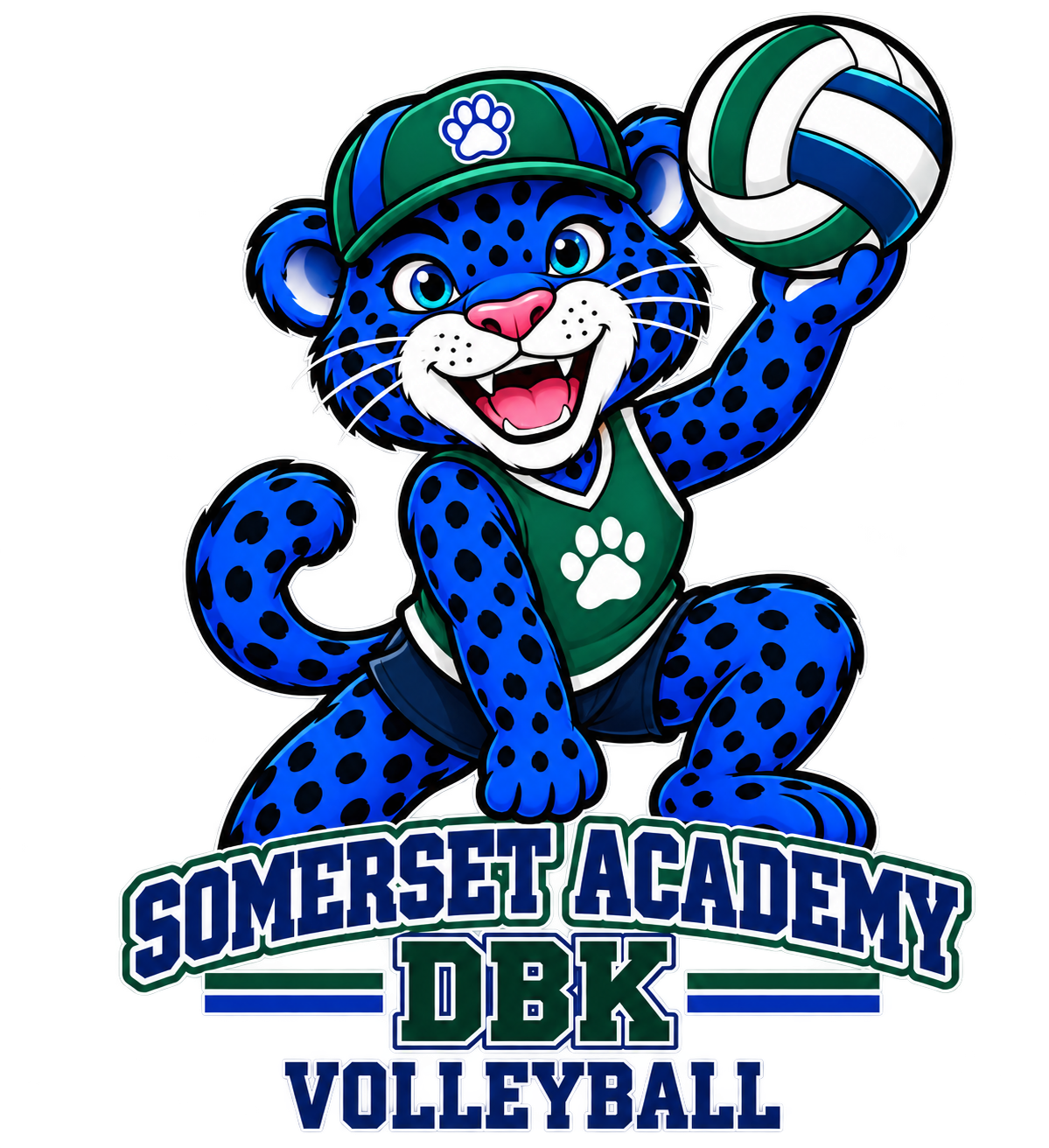 Volleyball standalone transparent design artwork