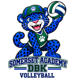 Volleyball standalone transparent design artwork