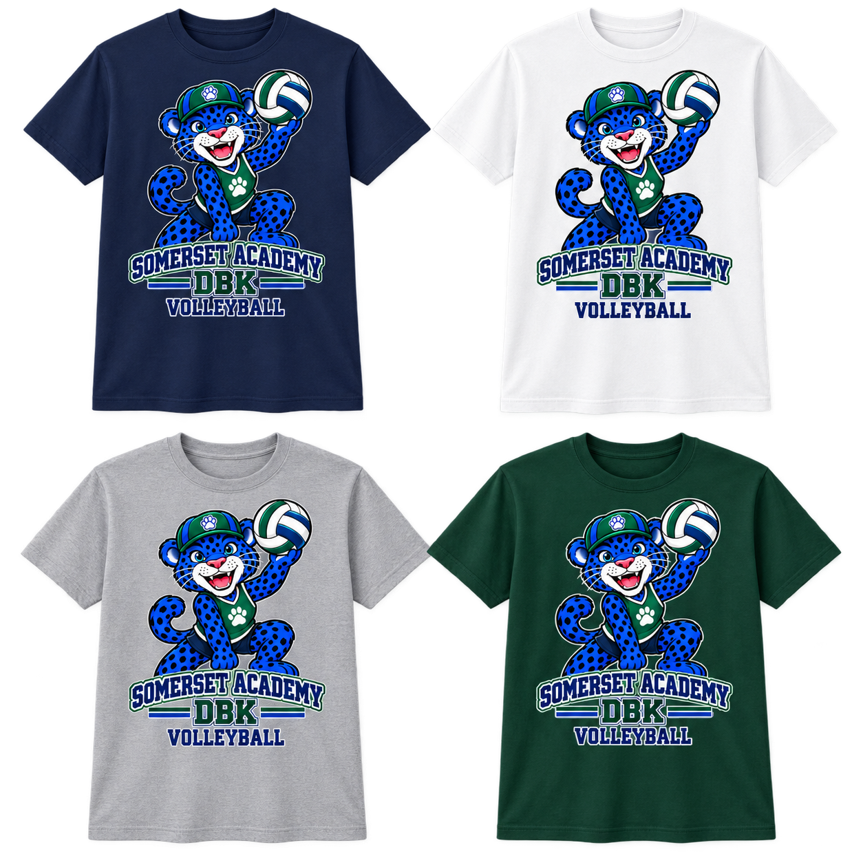 Volleyball on Navy, White, Gray and Dark Green T-Shirts