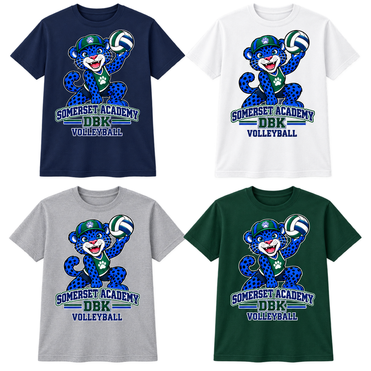 Volleyball on Navy, White, Gray and Dark Green T-Shirts