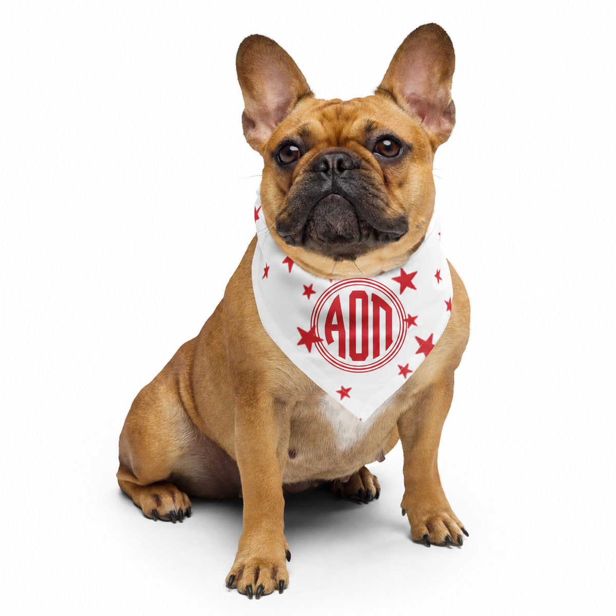 Alpha Omicron Pi All-over print bandana
