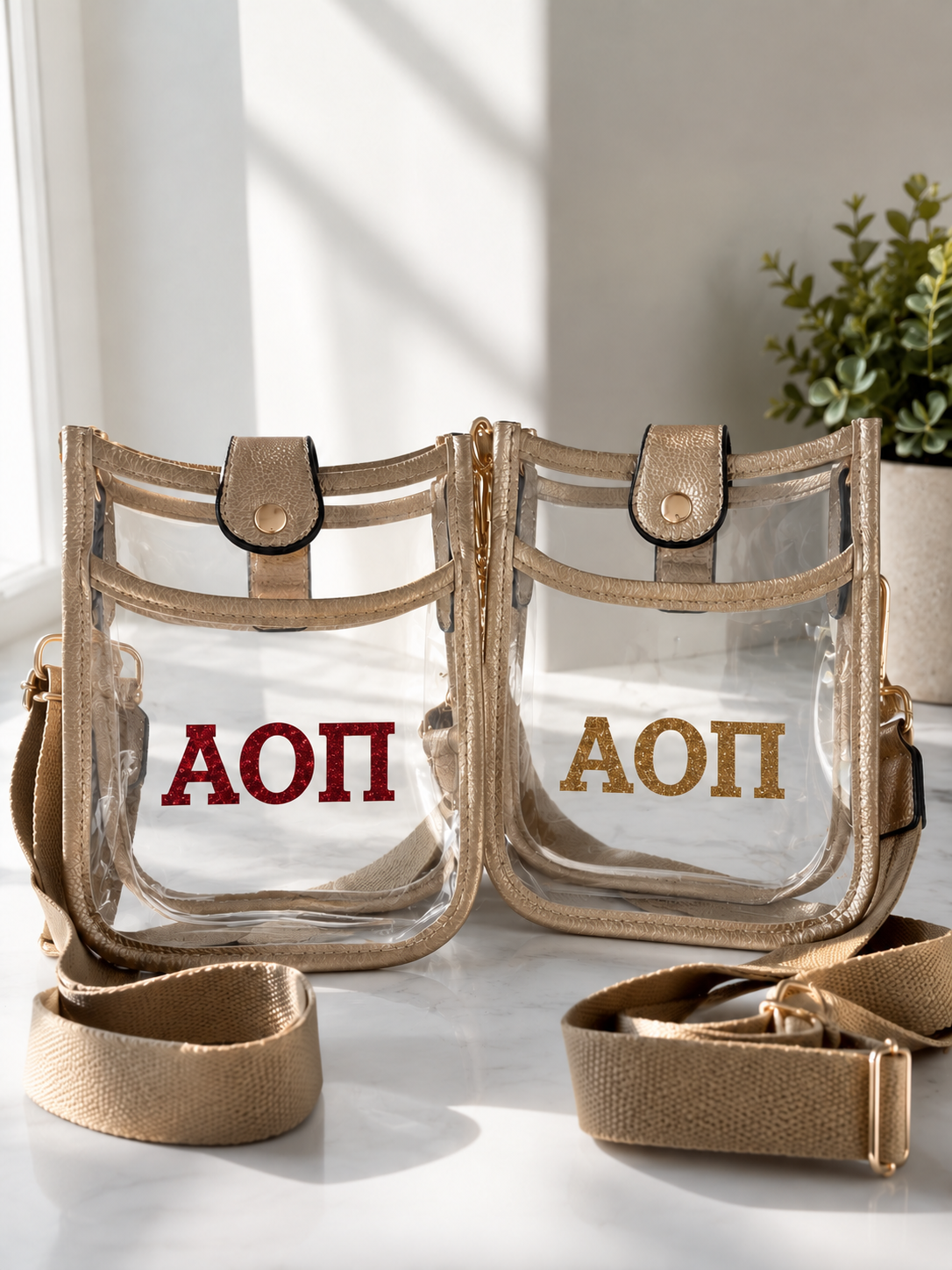 Alpha Omicron Pi Clear Stadium Bag
