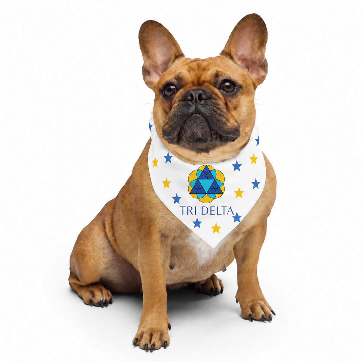 Tri Delta All-over print bandana