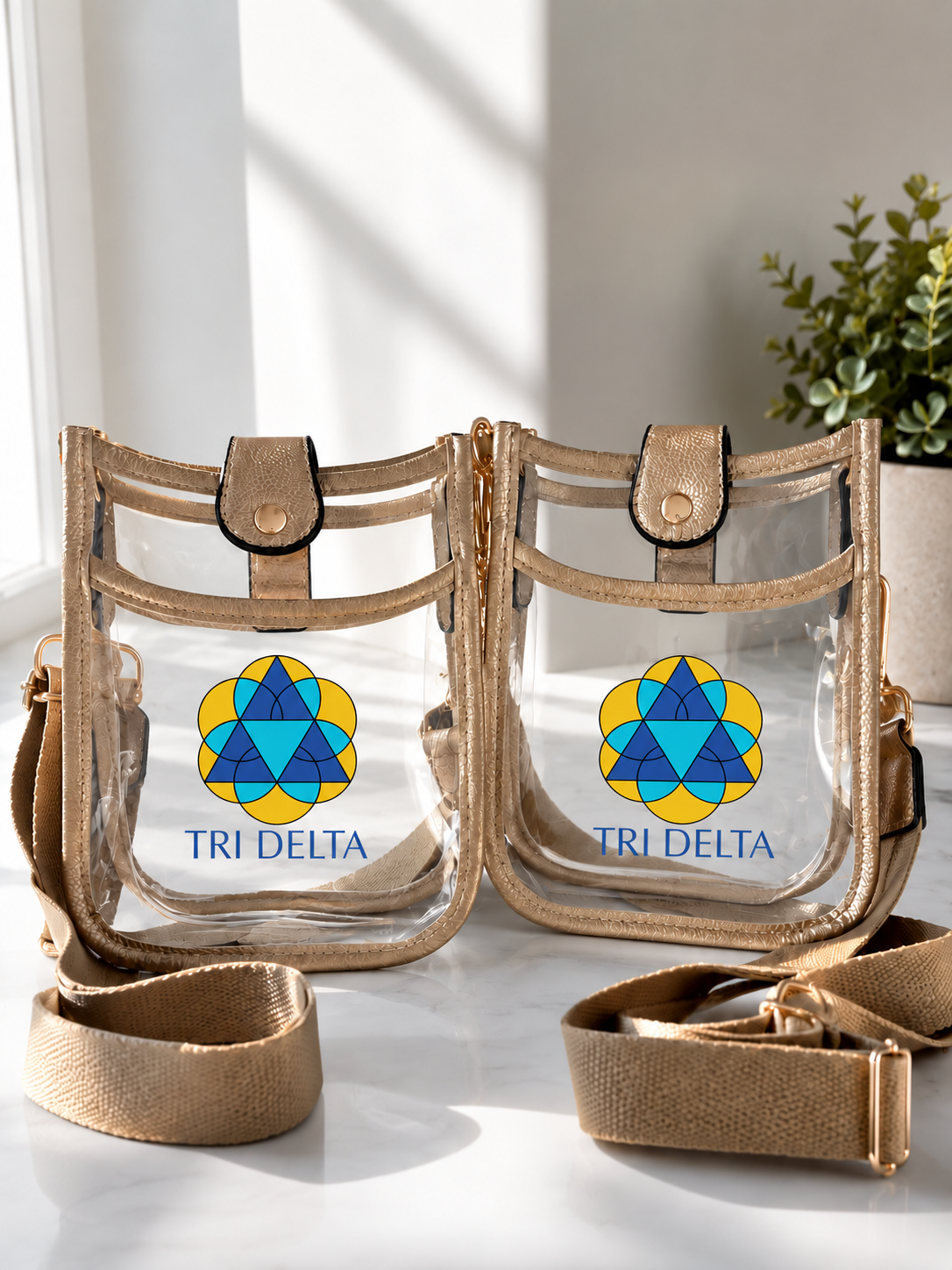 Tri Delta Clear Stadium Bag