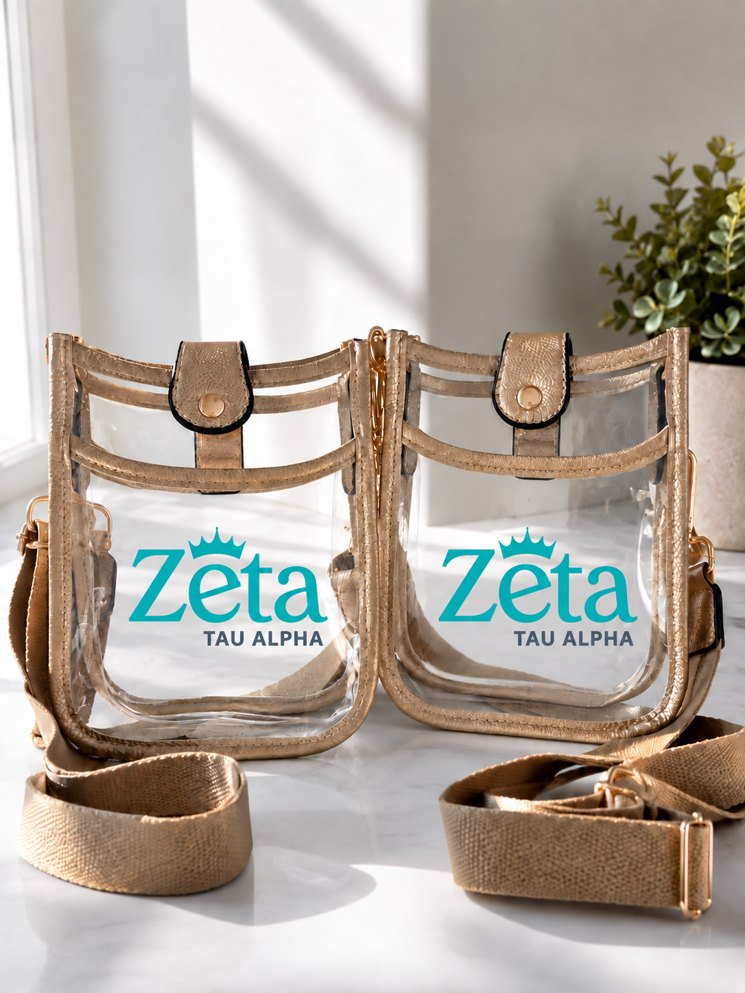 Zeta Tau Alpha Clear Stadium Bag